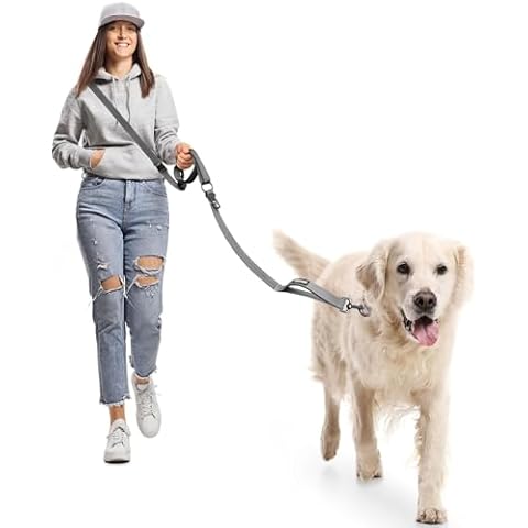 Bungee Dog Leash for Shock Absorption