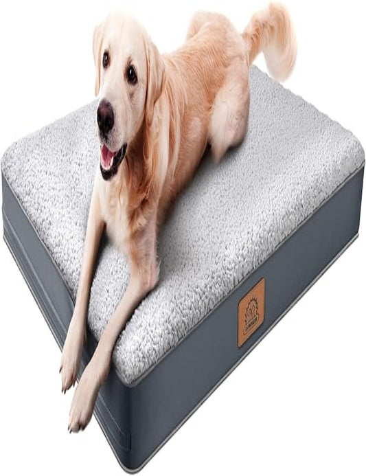 Orthopedic Dog Bed